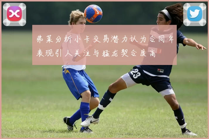 弗莱分析小卡交易潜力认为合同年表现引人关注与猛龙契合度高