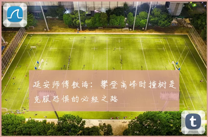 延安师傅教诲：攀登高峰时撞树是克服恐惧的必经之路