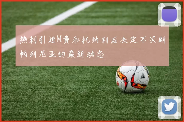 热刺引进M费和托纳利后决定不买断帕利尼亚的最新动态